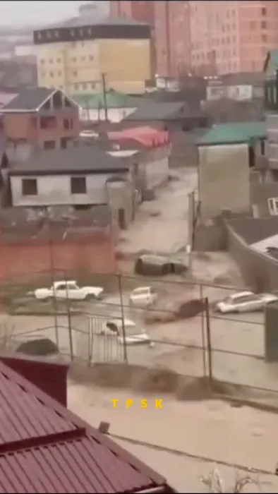 IMG_0796.MOV_snapshot_00.41.299