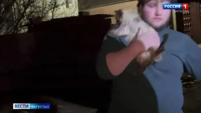 IMG_4879.MOV_snapshot_00.15.231