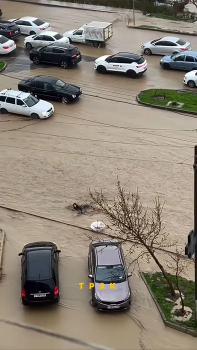 IMG_0796.MOV_snapshot_00.40.806