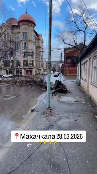 IMG_0796.MOV_snapshot_00.45.793