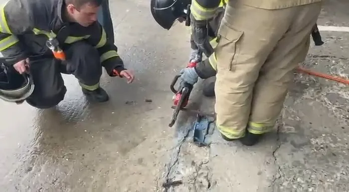 IMG_7919.MP4_snapshot_00.20.103