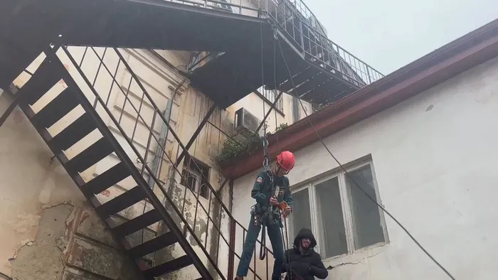 IMG_7833.MOV_snapshot_00.53.924