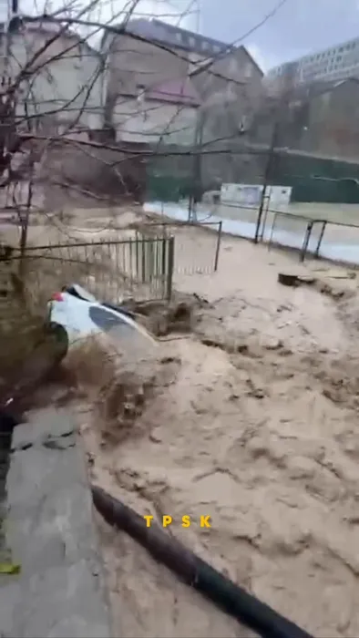 IMG_0796.MOV_snapshot_00.38.921